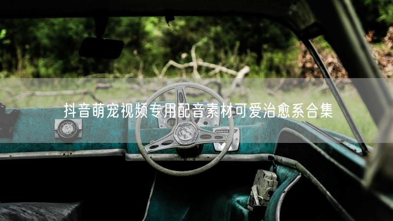 抖音萌宠视频专用配音素材可爱治愈系合集