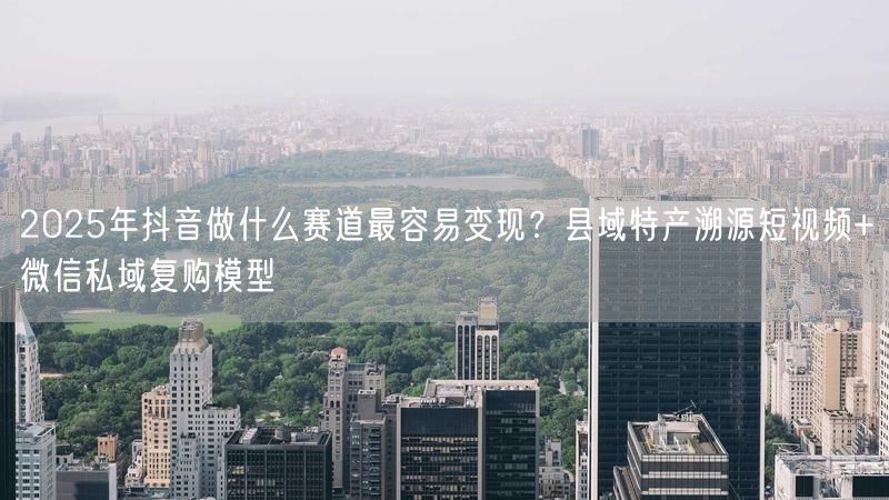 2025年抖音做什么赛道最容易变现？县域特产溯源短视频+微信