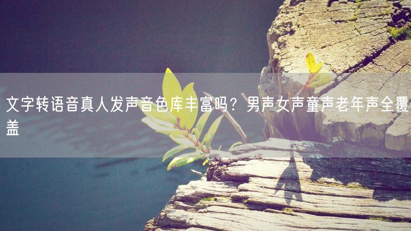 文字转语音真人发声音色库丰富吗？男声女声童声老年声全覆盖