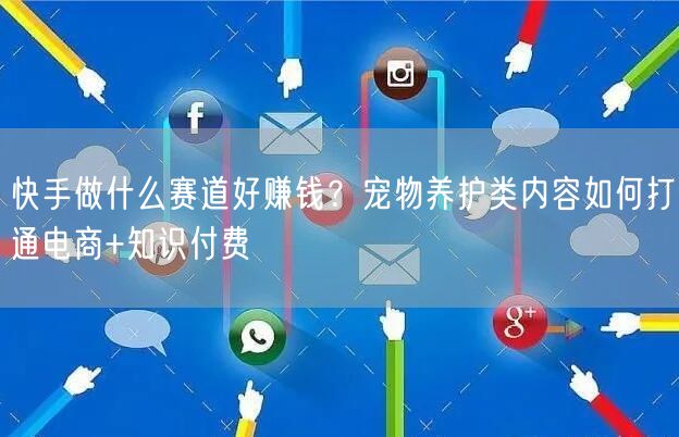 快手做什么赛道好赚钱？宠物养护类内容如何打通电商+知识付费