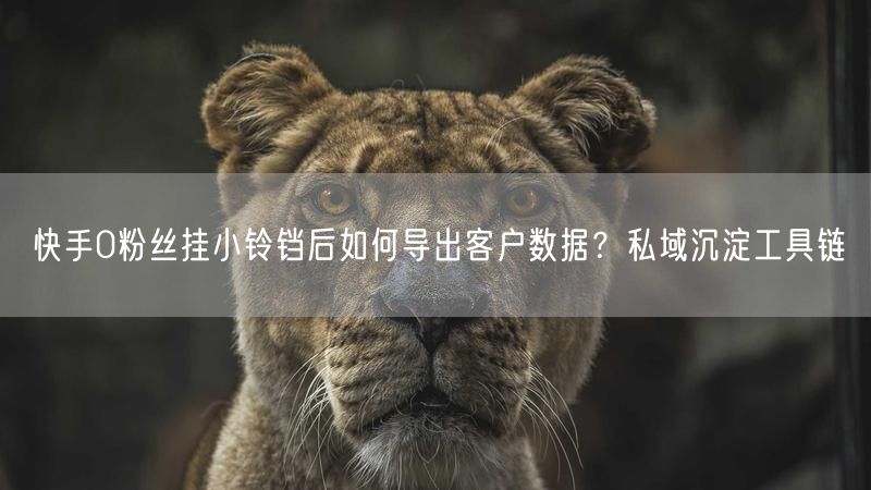 快手0粉丝挂小铃铛后如何导出客户数据？私域沉淀工具链
