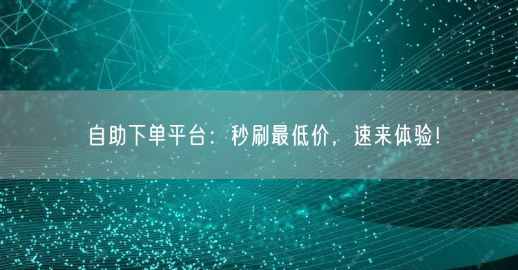 自助下单平台：秒刷最低价，速来体验！
