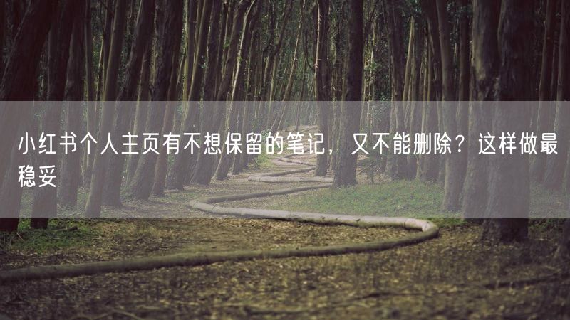 小红书个人主页有不想保留的笔记，又不能删除？这样做最稳妥