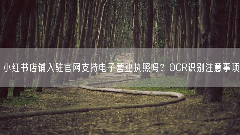 小红书店铺入驻官网支持电子营业执照吗？OCR识别注意事项