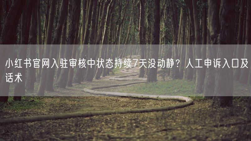 小红书官网入驻审核中状态持续7天没动静？人工申诉入口及话术