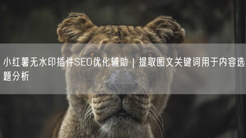 小红薯无水印插件SEO优化辅助｜提取图文关键词用于内容选题分析
