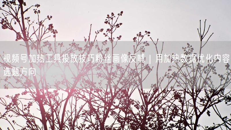 视频号加热工具投放技巧粉丝画像反哺｜用加热数据优化内容选题方