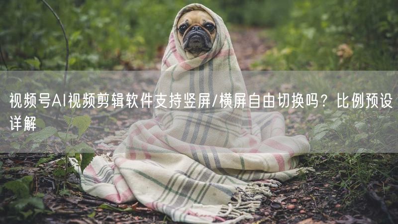 视频号AI视频剪辑软件支持竖屏/横屏自由切换吗？比例预设详解