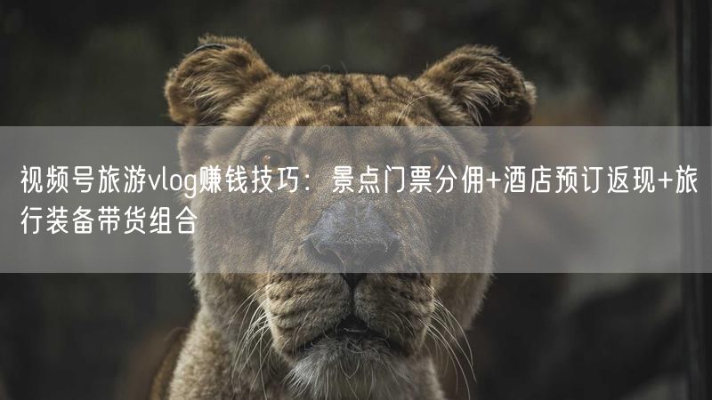 视频号旅游vlog赚钱技巧：景点门票分佣+酒店预订返现+旅行