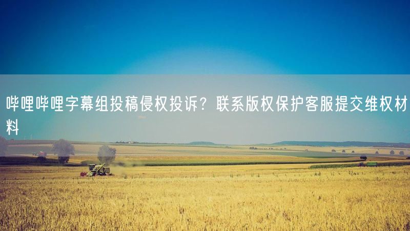 哔哩哔哩字幕组投稿侵权投诉？联系版权保护客服提交维权材料