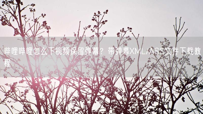 哔哩哔哩怎么下视频保留弹幕？带弹幕XML/ASS文件下载教程