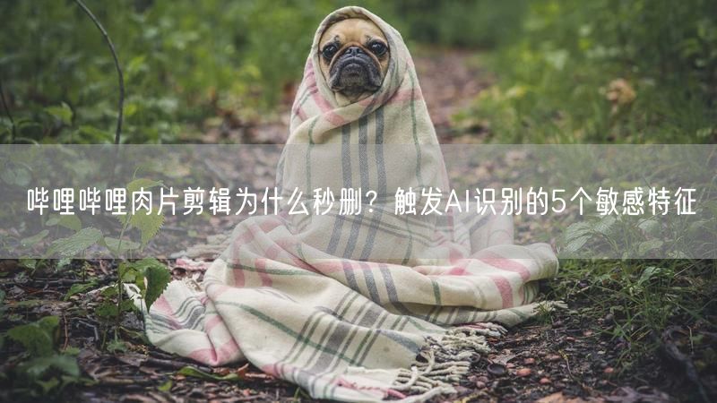 哔哩哔哩肉片剪辑为什么秒删？触发AI识别的5个敏感特征
