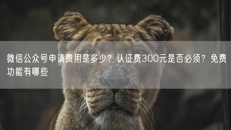 微信公众号申请费用是多少？认证费300元是否必须？免费功能有
