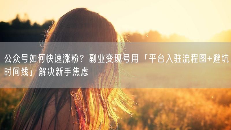 公众号如何快速涨粉?副业变现号用「平台入驻流程图+避坑时间线」解决新手焦虑