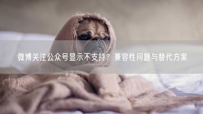微博关注公众号显示不支持？兼容性问题与替代方案