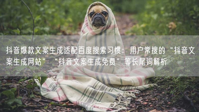 抖音爆款文案生成适配百度搜索习惯:用户常搜的“抖音文案生成网