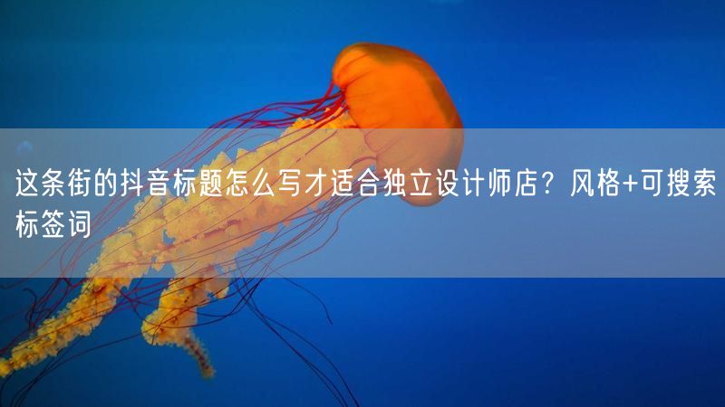 这条街的抖音标题怎么写才适合独立设计师店?风格+可搜索标签词