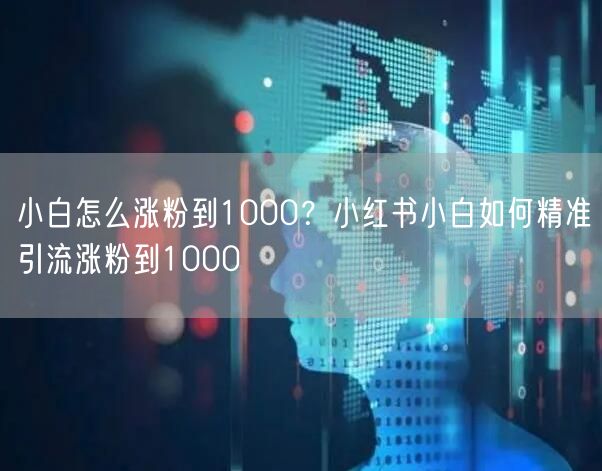 小白怎么涨粉到1000?小红书小白如何精准引流涨粉到1000