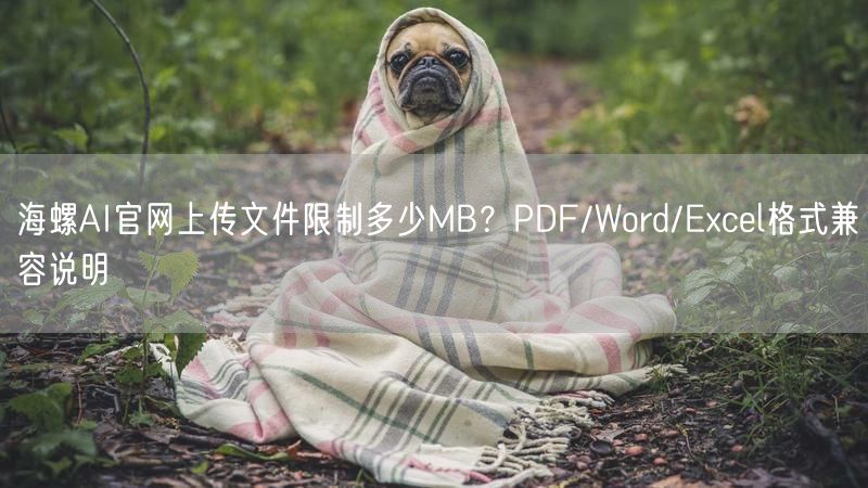 海螺AI官网上传文件限制多少MB?PDF/Word/Exce