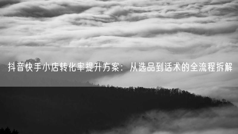抖音快手小店转化率提升方案:从选品到话术的全流程拆解