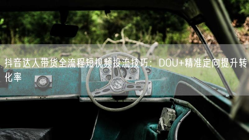 抖音达人带货全流程短视频投流技巧:DOU+精准定向提升转化率