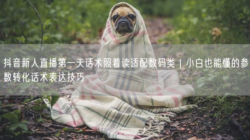 抖音新人直播第一天话术照着读适配数码类|小白也能懂的参数转化