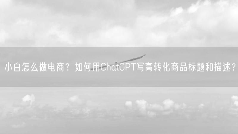 小白怎么做电商?如何用ChatGPT写高转化商品标题和描述?