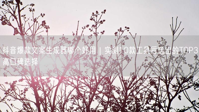抖音爆款文案生成器哪个好用｜实测10款工具后选出的TOP3高