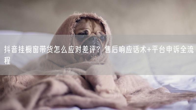 抖音挂橱窗带货怎么应对差评?售后响应话术+平台申诉全流程