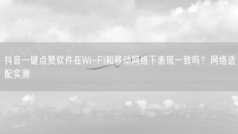 抖音一键点赞软件在Wi-Fi和移动网络下表现一致吗?网络适配