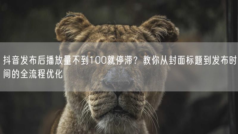 抖音发布后播放量不到100就停滞?教你从封面标题到发布时间的